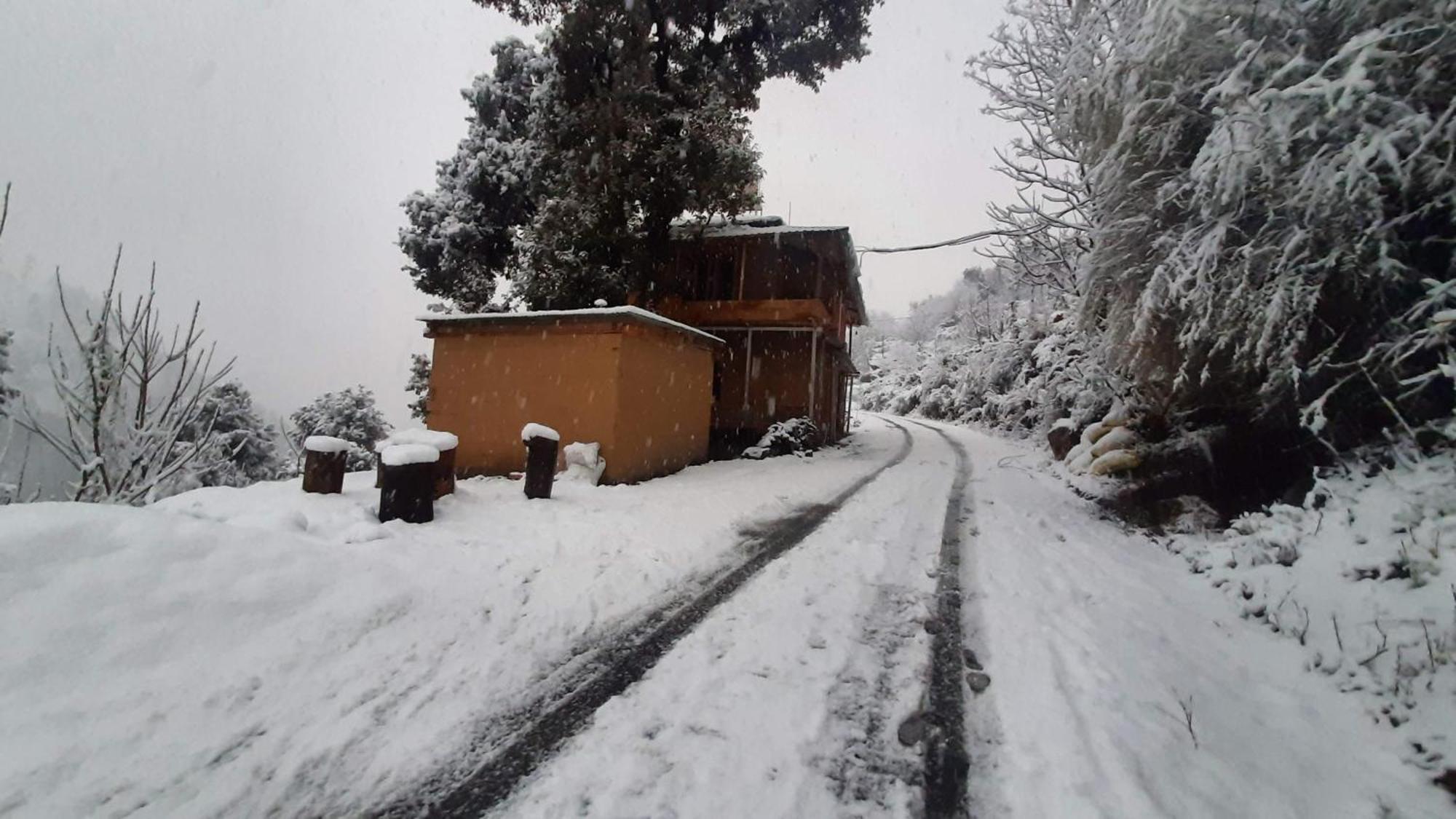 Tirthan Ecostay Gushaini Bagian luar foto